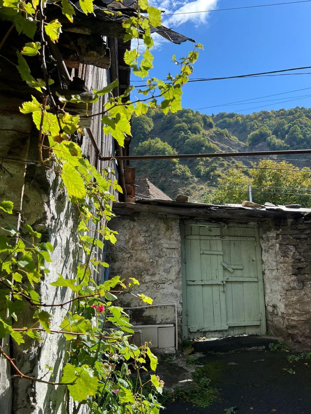 Guesthouse Ilisu Ґах Екстер'єр фото