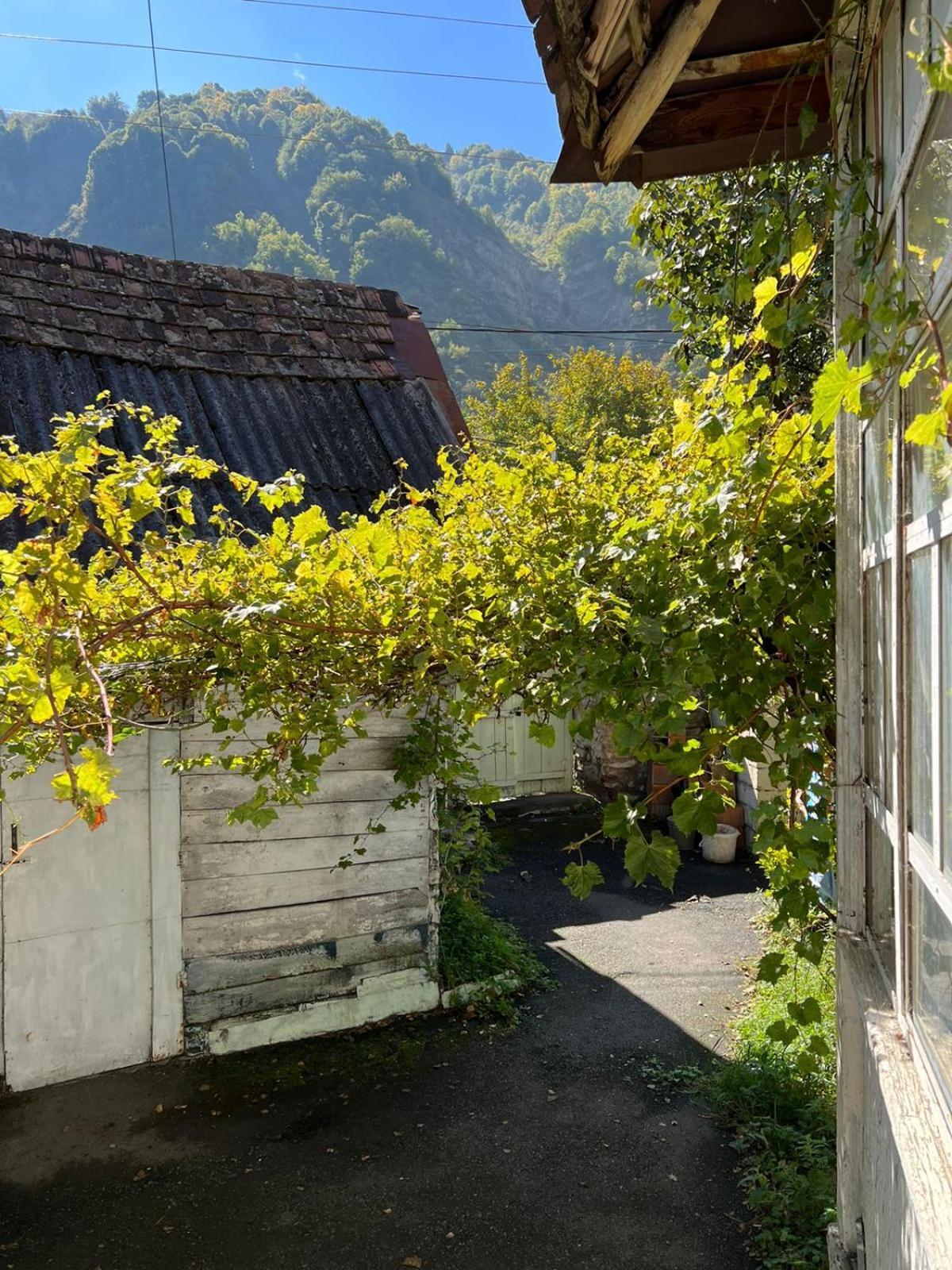 Guesthouse Ilisu Ґах Екстер'єр фото